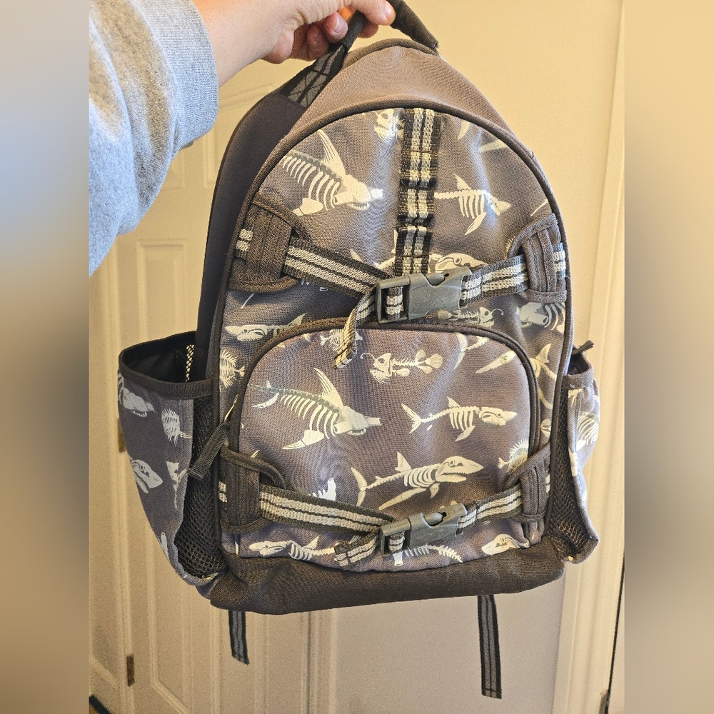 Large Pottery Barn Kids Backpack